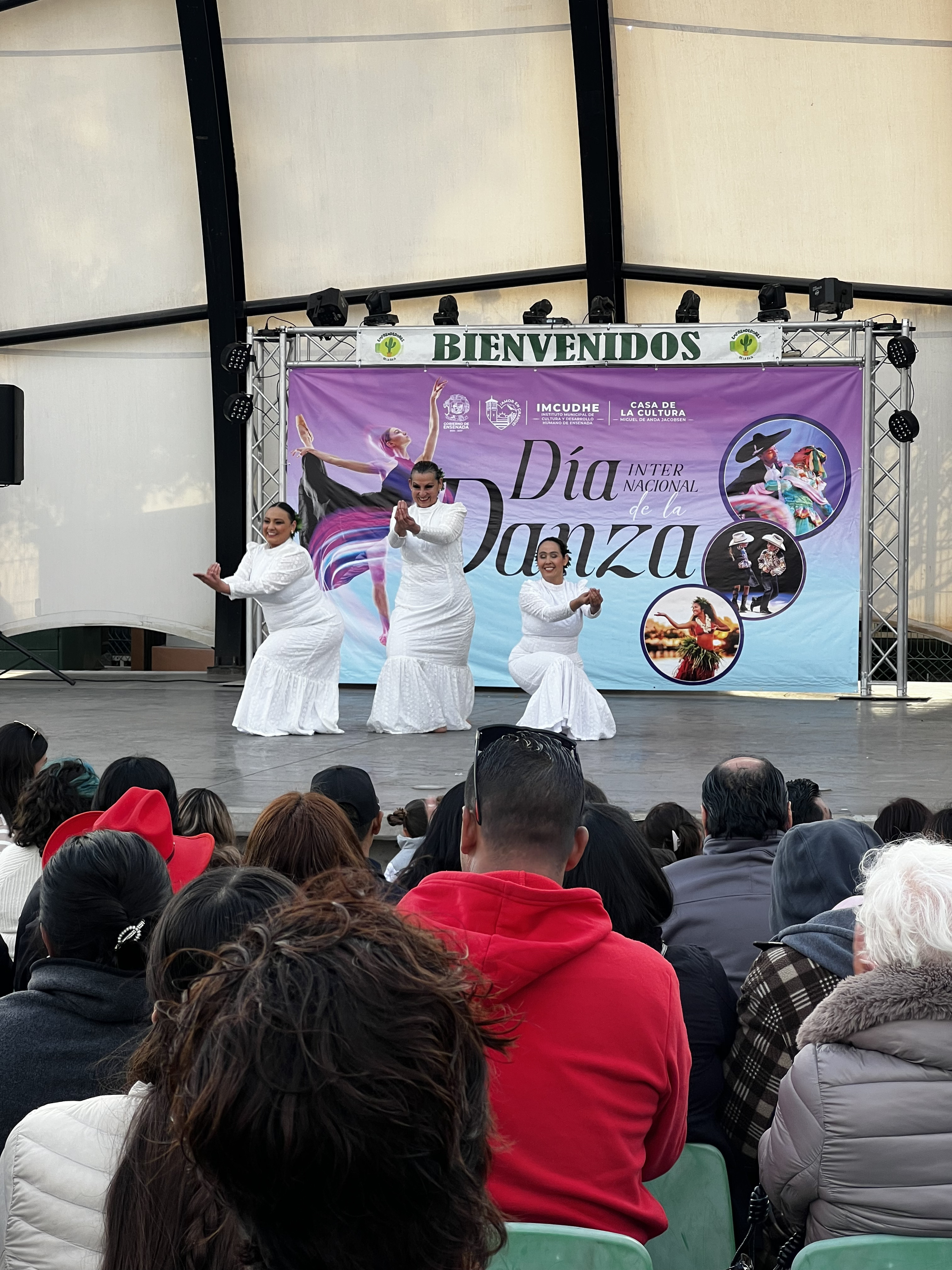 Ritmo, cultura y tradición se tomaron la Concha Acústica en el Día Internacional de la Danza