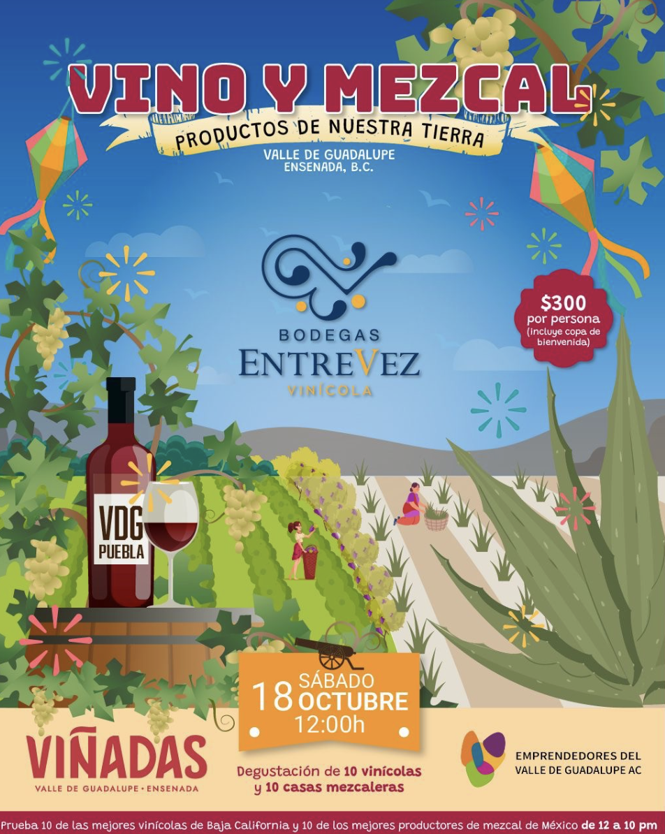 Vino, mezcal y buena vibra: VIÑADAS 2025 